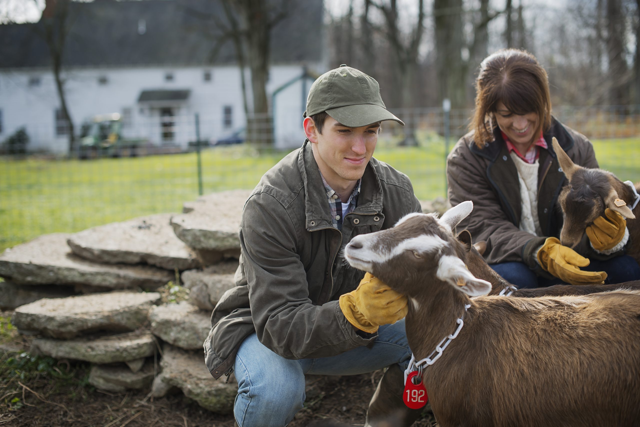 Smallholding Management Level 3 (QLS) Course